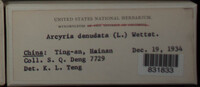 Arcyria denudata image